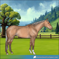 Horse Color:Silver Bay Dun Rabicano 