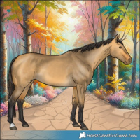 Horse Color:Buckskin Dun 