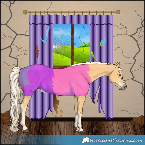 Horse Color:Palomino