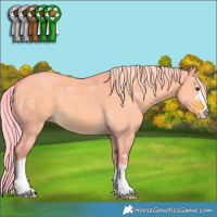 Horse Color:Watercolor Chocolate Palomino Dun 