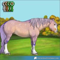 Horse Color:Watercolor Chocolate Palomino Dun