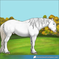 Horse Color:Liver Red Dun Sabino Splash Tobiano Snowflake Varnish
