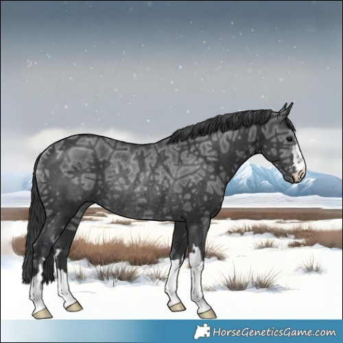 Horse Color:Black Ice Mushroom Rabicano 