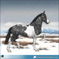 Horse Color:Black Ice Mushroom Tobiano Rabicano 