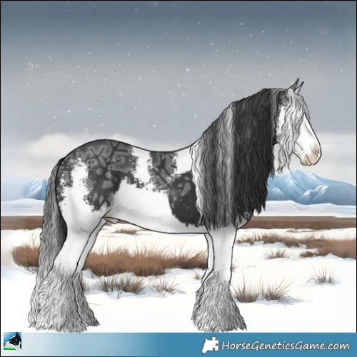 Horse Color:Black Ice Mushroom Sabino Splash 