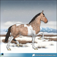Horse Color:Bay Ice Dun Mushroom Tobiano Rabicano Brindle