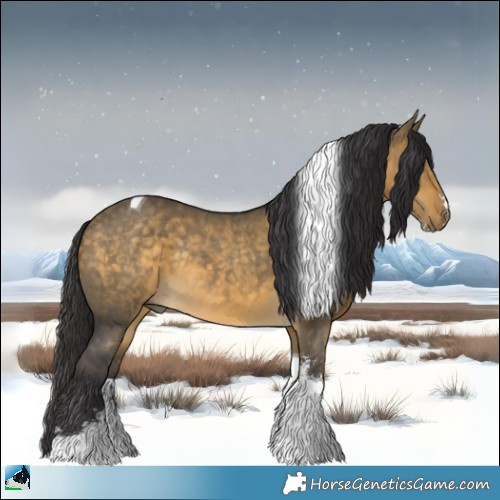 Horse Color:Buckskin Dun Sabino Tobiano Rabicano 