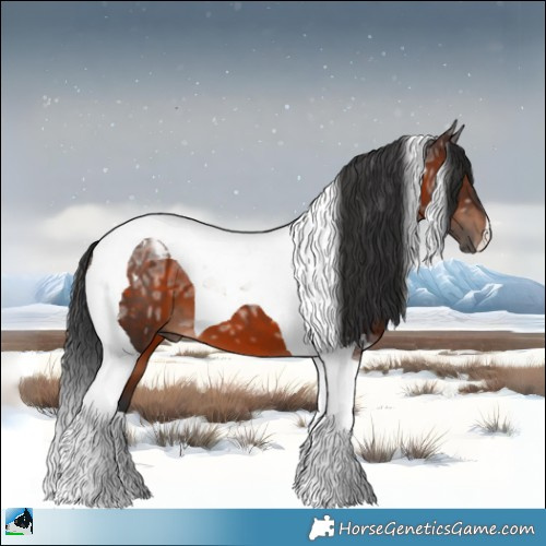 Horse Color:Brown Ice Tobiano 