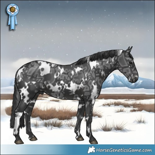 Horse Color:White Spotted Black Ice 