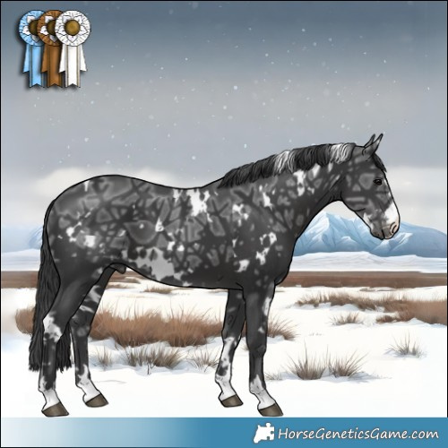 Horse Color:White Spotted Black Ice 
