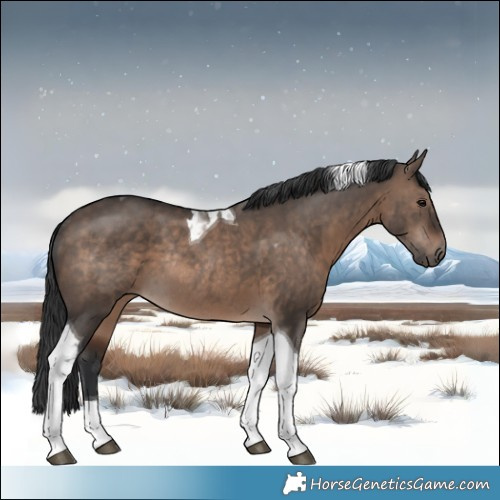 Horse Color:Brown Dun Mushroom Tobiano Rabicano 