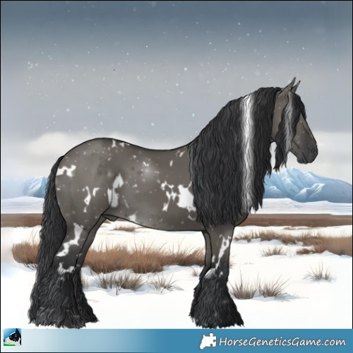 Horse Color:White Spotted Grullo 