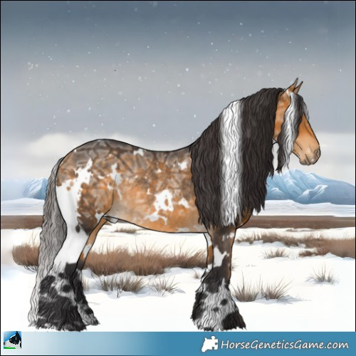 Horse Color:White Spotted Buckskin Ice Rabicano 