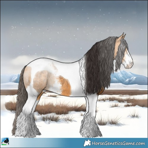 Horse Color:Buckskin Sabino Tobiano Rabicano 