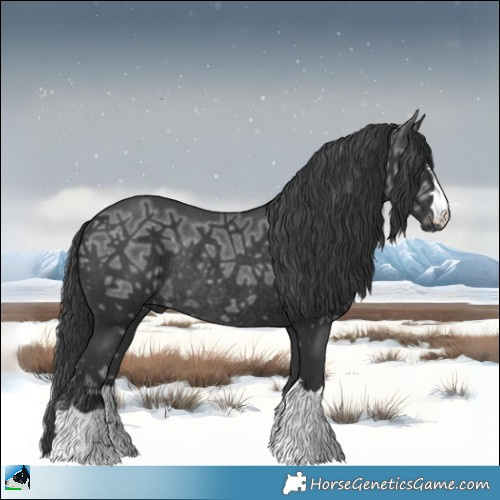 Horse Color:Black Ice Rabicano 