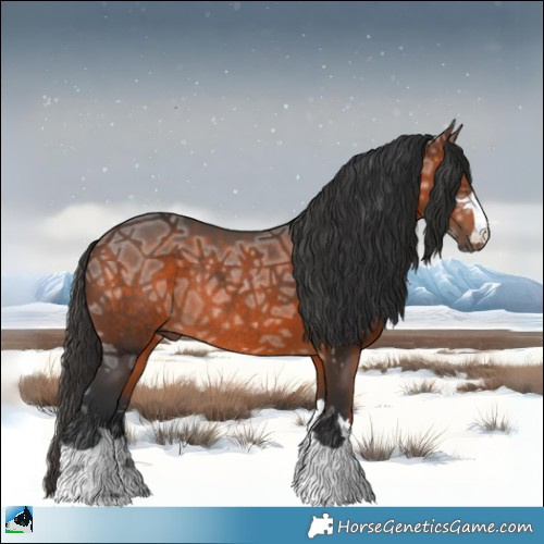 Horse Color:Brown Ice Rabicano 