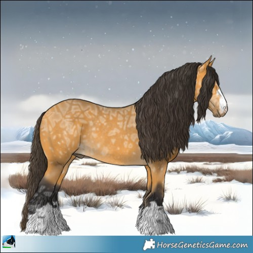 Horse Color:Buckskin Ice Rabicano 