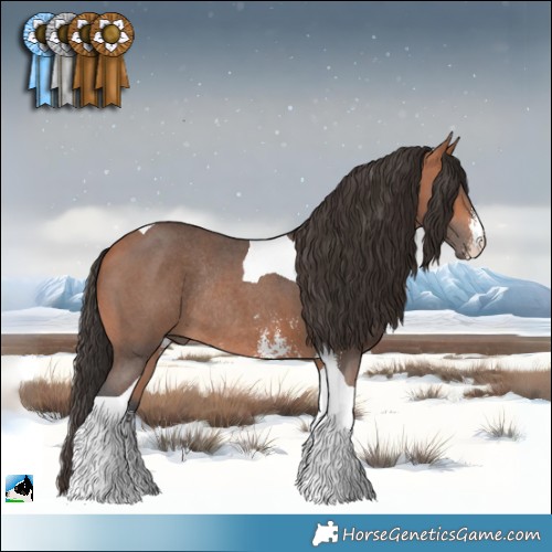 Horse Color:Bay Mushroom Sabino Tobiano Rabicano 