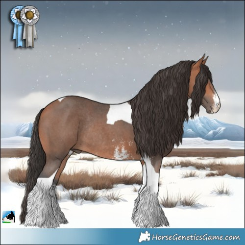 Horse Color:Bay Mushroom Sabino Tobiano Rabicano 
