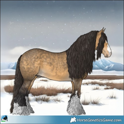 Horse Color:Buckskin Dun 