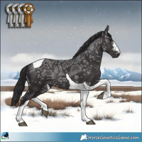 Horse Color:Smoky Black Ice Tobiano Rabicano 
