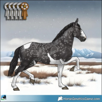 Horse Color:Smoky Black Ice Tobiano Rabicano 