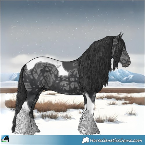Horse Color:Black Ice Mushroom Tobiano Rabicano 