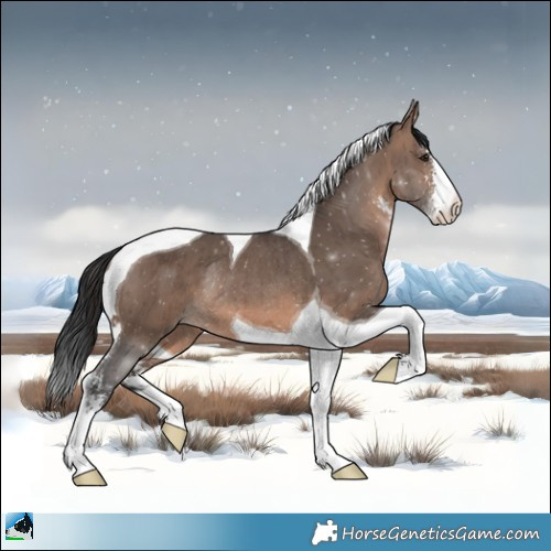 Horse Color:Brown Dun Mushroom Sabino Tobiano Rabicano Brindle 