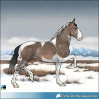 Horse Color:Brown Dun Mushroom Sabino Tobiano Rabicano Brindle 