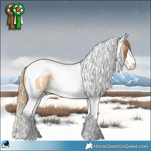 Horse Color:Buckskin Pearl Sabino Splash Tobiano Rabicano 