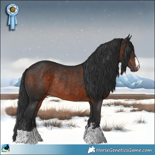 Horse Color:Brown Mushroom Rabicano 