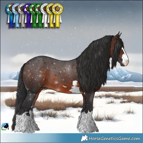 Horse Color:Brown 