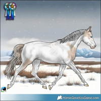 Horse Color:Perlino Ice Tobiano Frame Rabicano 