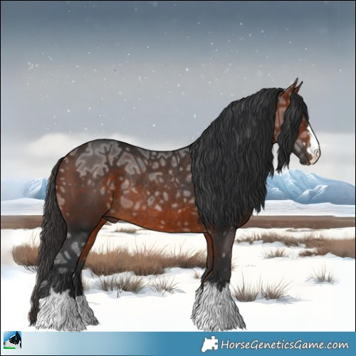 Horse Color:Bay Ice Rabicano 