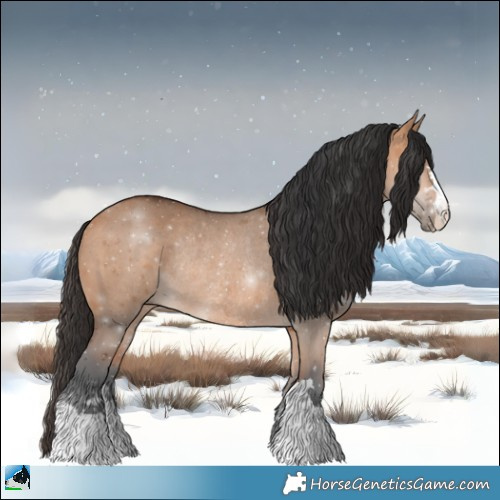 Horse Color:Bay Dun Rabicano 