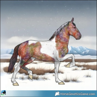 Horse Color:Nacre Bay Ice Tobiano Rabicano 