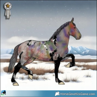 Horse Color:Nacre Bay Ice Tobiano Rabicano 