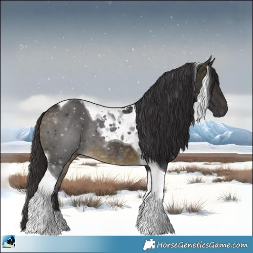 Horse Color:Buckskin Tobiano Rabicano 