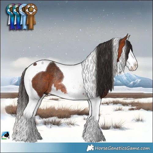 Horse Color:Bay Splash Tobiano Rabicano 