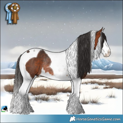 Horse Color:Bay Splash Tobiano Rabicano 