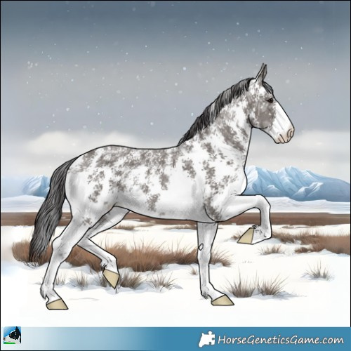 Horse Color:Smoky Grullo Ice Sabino Rabicano Brindle