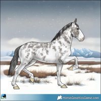 Horse Color:Smoky Grullo Ice Sabino Rabicano Brindle 