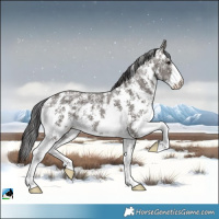 Horse Color:Smoky Grullo Ice Sabino Rabicano Brindle