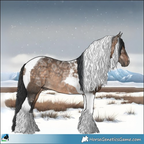 Horse Color:Brown Ice Dun Tobiano Rabicano 