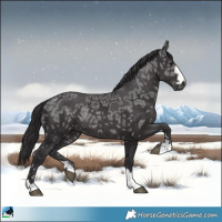Horse Color:Smoky Black Ice Mushroom Rabicano 