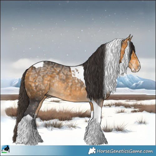 Horse Color:Buckskin Ice Sabino Tobiano Rabicano 