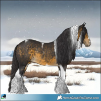 Horse Color:Buckskin Mushroom Tobiano Rabicano