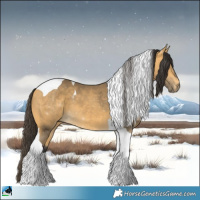 Horse Color:Buckskin Mushroom Tobiano 