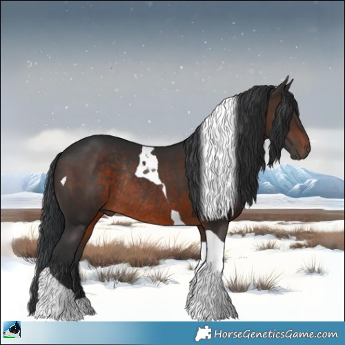Horse Color:Brown Tobiano Rabicano 