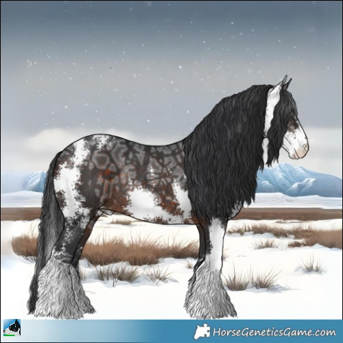 Horse Color:Brown Ice Sabino Rabicano 